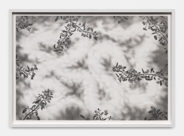 Léo Luccioni A Snake, 2021 Graphite and lead pencil on acid-free Canson paper 100 x 71 x 4.5 cm. 40 x 28 x 2 in.