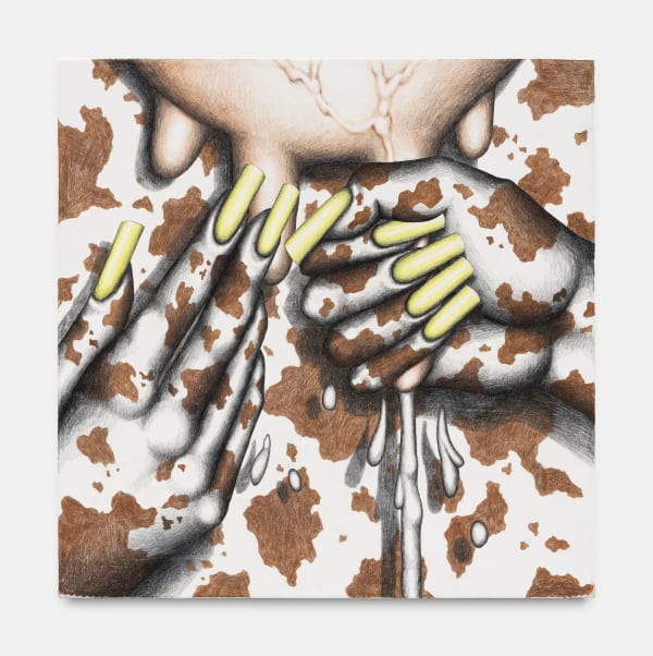 Samantha Rosenwald Cash Cow, 2022 Colored pencil on canvas 71 x 71 cm. 28 x 28 in.