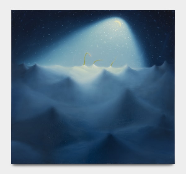 Sarah Lee Spring, 2024 Oil on canvas 81.3 x 86.4 cm. 32 x 34 in.