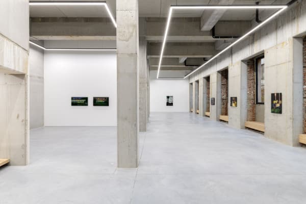 "LUCKY FOOD" JANE DICKSON