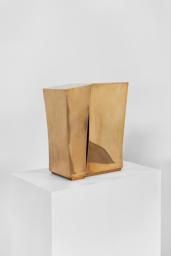 2021 03 04 Patinoire Royale 10