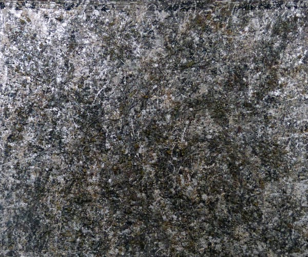 Biomorphica Genevie Ve Levivier Photo Genevie Ve Levivier Ii 161X136Cm