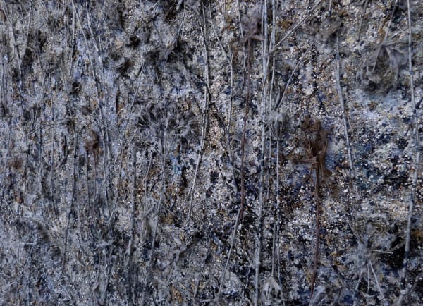 Levivier Biomorphica I Detail 1 Photo Serge Anton