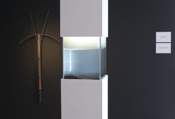 MARIE-LUCE NADAL | BIENNALE META.MORF, GROUP EXHIBITION