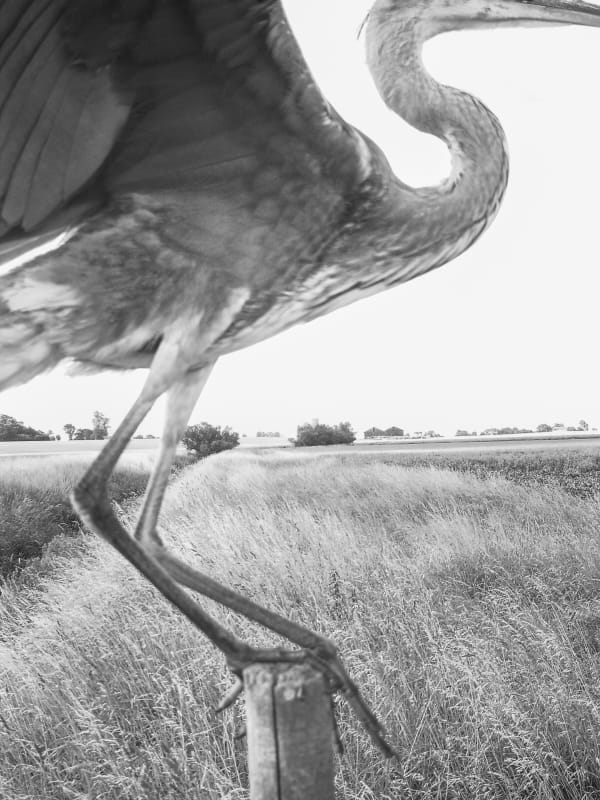 STEPHEN GILL | RENCONTRES D'ARLES