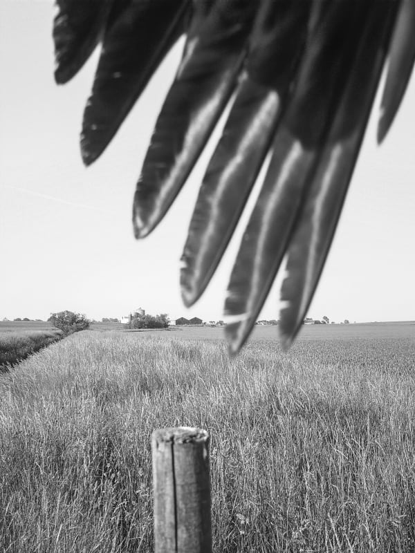 STEPHEN GILL | BRITISH JOURNAL OF PHOTOGRAPHY