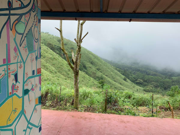 80 Acres of Meadows and Shola Forest