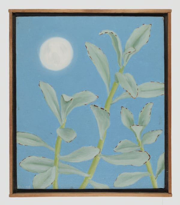 Janet Alling Lambs Ears with Moon, 1981 oil on canvas 14 x 12 in