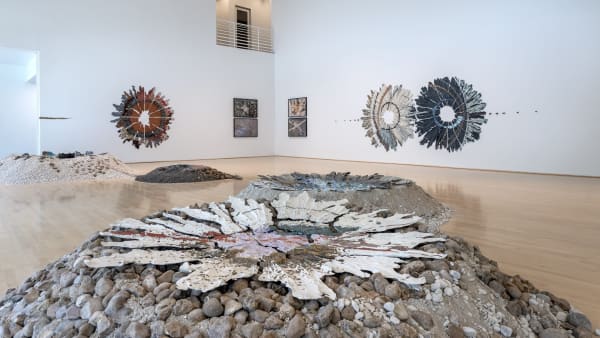Installation view of Brie Ruais: Movement at the Edge of the Land. Photo by Nash Baker, courtesy of the Moody Center for the Arts, Rice University, Houston