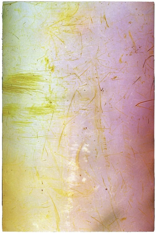 Vasylyna Vrublevska: 'The Garden of Nothing'