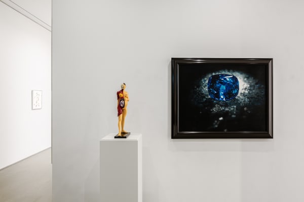 DAMIEN HIRST