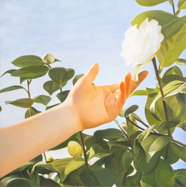 MUSTAFA HULUSI - Latin Cyprus Orange 2 (M), 2023