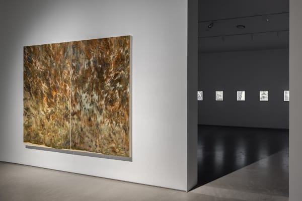 '2026아트바젤 홍콩'라인업 발표…한국서 더페이지·선화랑 새로 참가