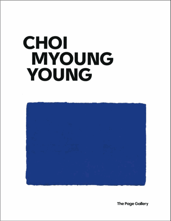 Choi Myoung Young