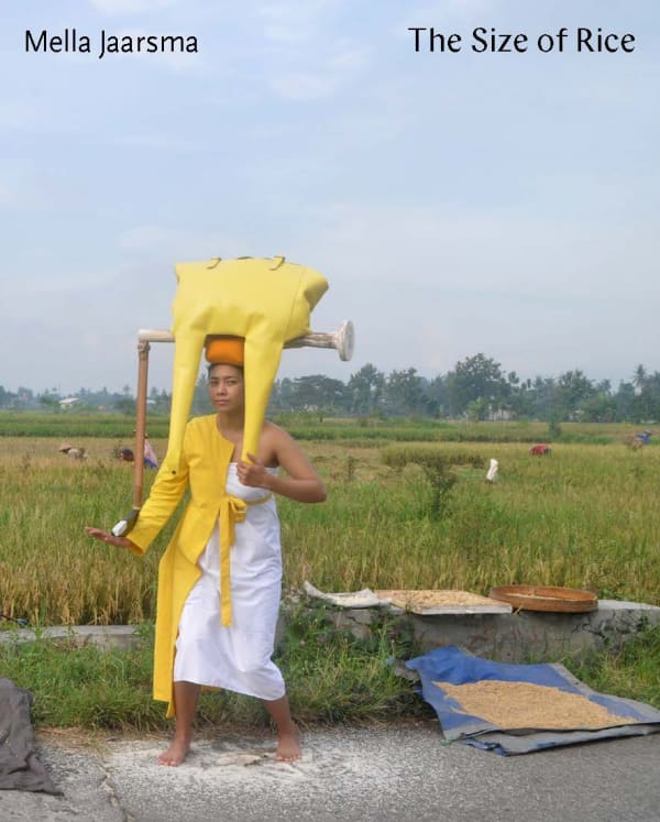 The Size of Rice