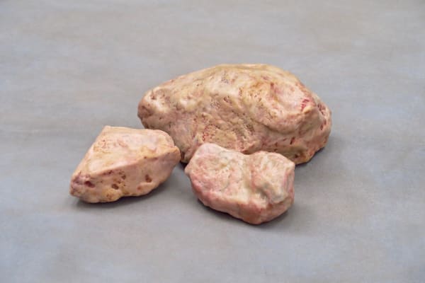 Becoming stone, 2017