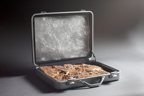 Does rock dream?, 2008