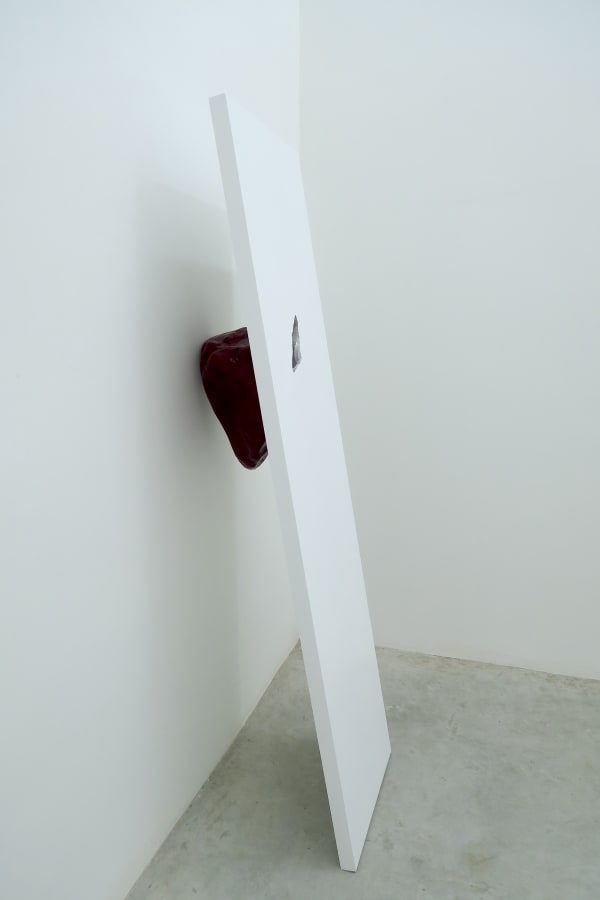 The Flesh of the World #6, 2015