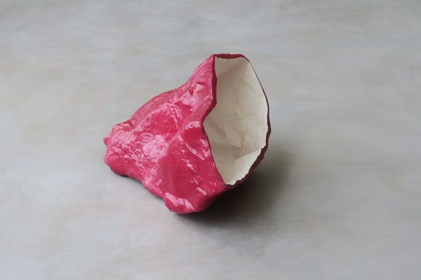 The Flesh of the World #5, 2015