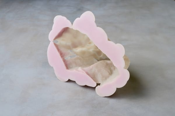 The Flesh of the World #13, 2015