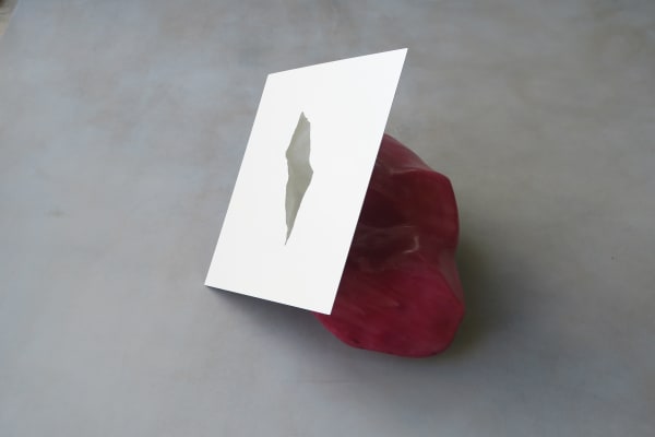 The flesh of the world #4, 2015