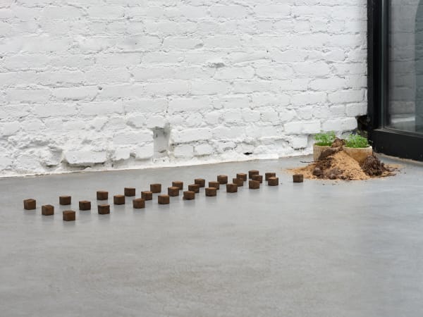 Trotter Sholer A Land Of All Possibilities 13