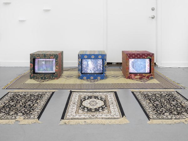 Trotter Sholer Anak Dara 14