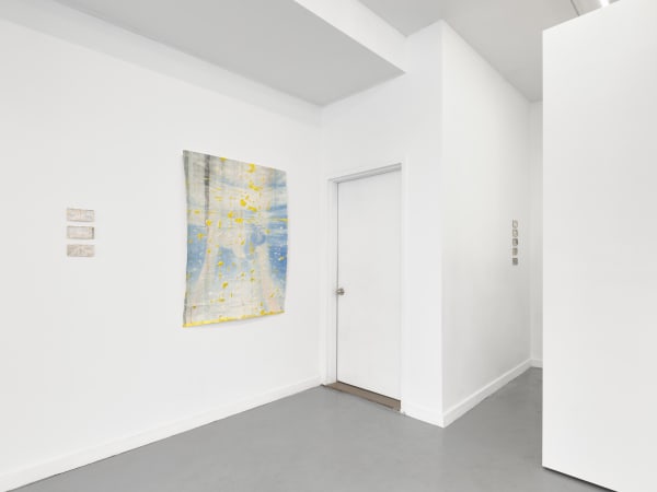 Birdi 2024 Install 1