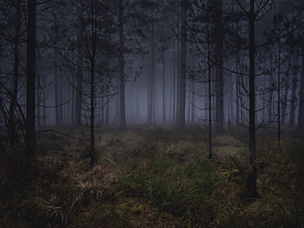 Ellie Davies, Stillness 5, 2021