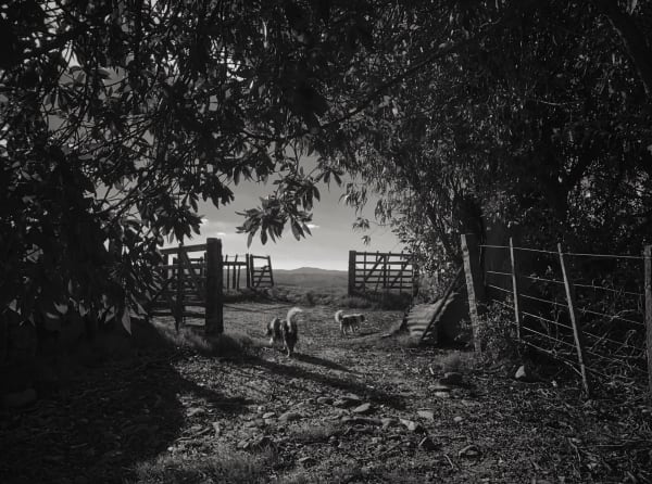 Heidi Lender, Untitled (B&W), POSTCARD FROM URUGUAY
