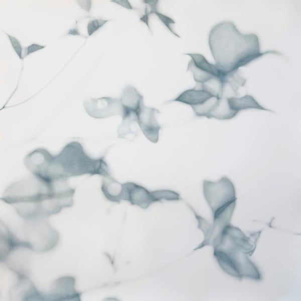 Grace Dines, Untitled , 2025