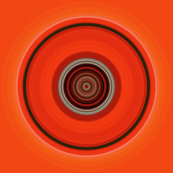 John Holt Smith, Wildflower Oculus, 2023