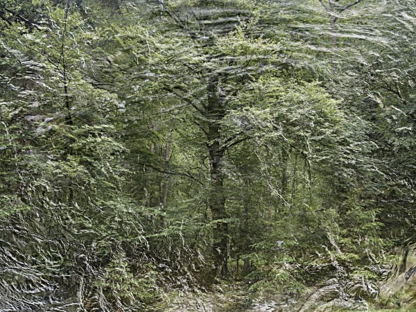 Ellie Davies, Seascapes 9, 2020