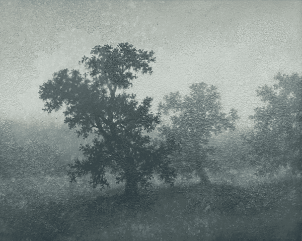 Michael Dines, Untitled 6, 2024