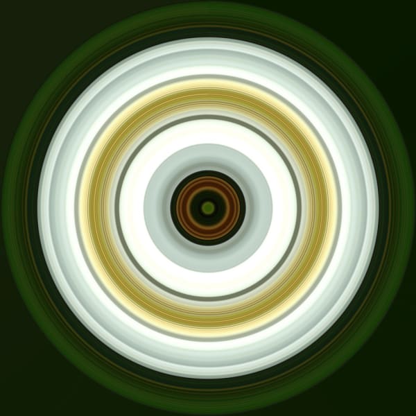 John Holt Smith, Magnolia Oculus #3, 2023