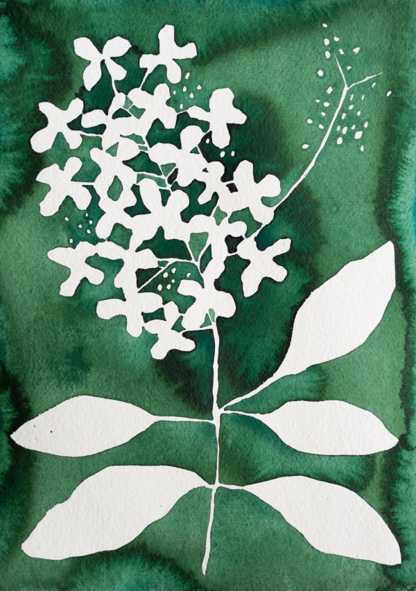 Kate Roebuck, Emerald Hydrangea, 2024