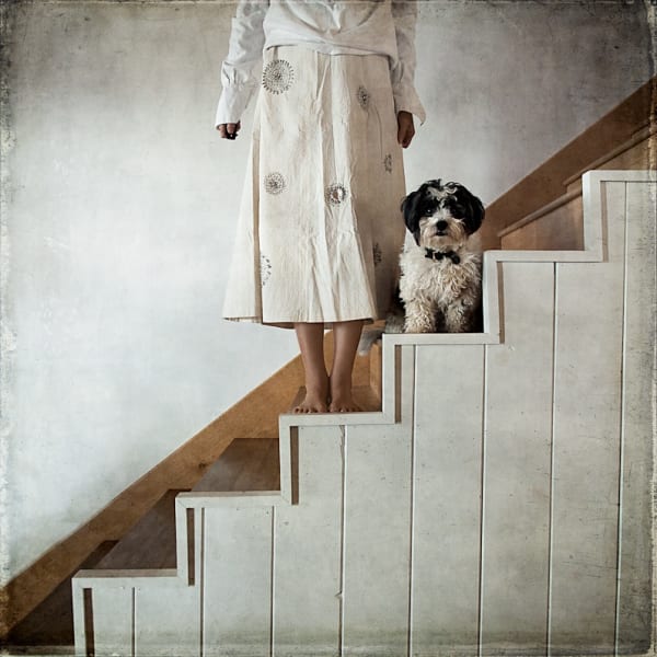Heidi Lender, Untitled, from the series Once Upon (White Stairs), 2010