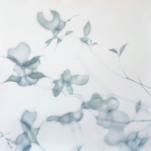 Grace Dines, Untitled 2, 2025