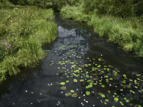 Ellie Davies, Chalk Streams 1, 2023