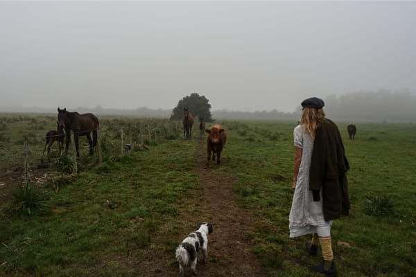 Heidi Lender, Untitled, POSTCARD FROM URUGUAY