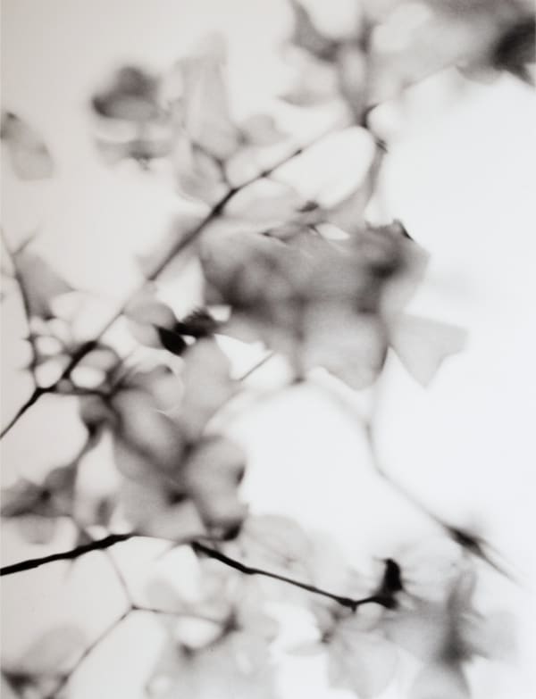 Grace Dines, Untitled 4, 2025