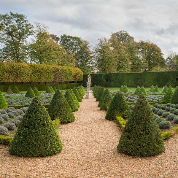 Dale Goffigon, Ham House Parterre IV