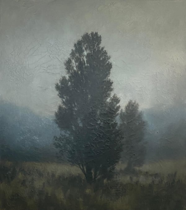 Michael Dines, Jacob's Creek Cedars, 2024