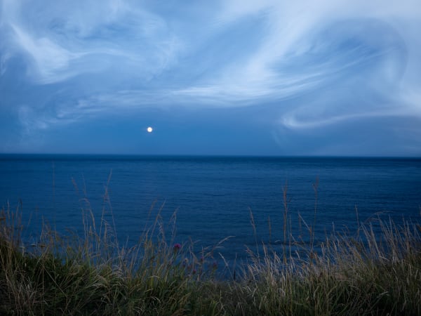 Ellie Davies, The Coming Storm 14 version 2, 2025