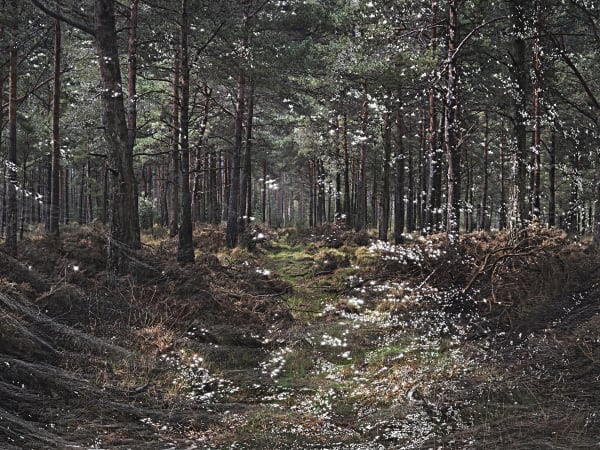Ellie Davies, Seascapes 1, 2020