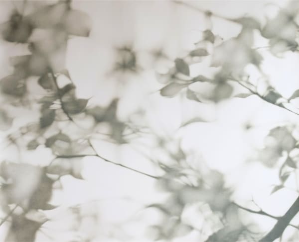 Grace Dines, Untitled 3, 2025