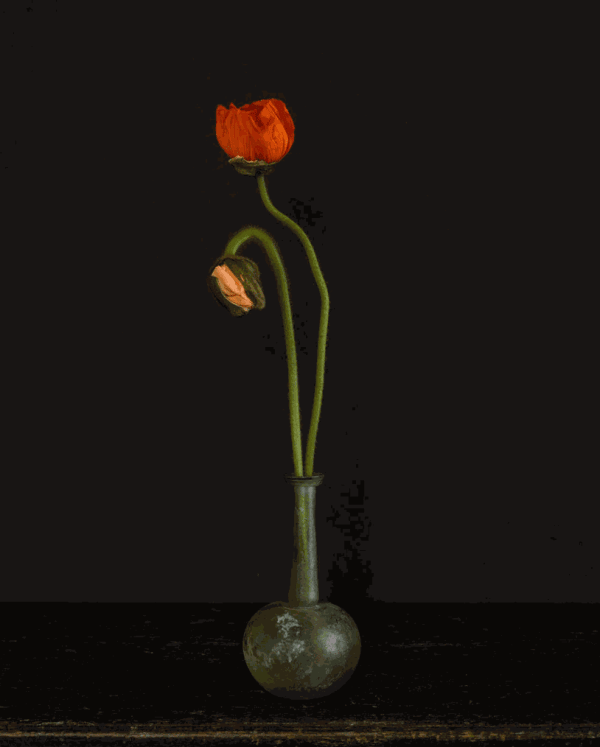 Dale Goffigon, Still Life , 2020