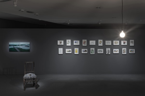 Zhao Gang Kd Ins 00025