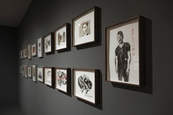 Zhao Gang Kd Ins 00031