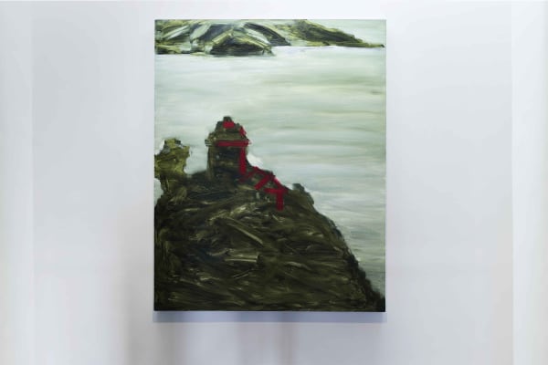 Zhao Gang Kd Ins 00032